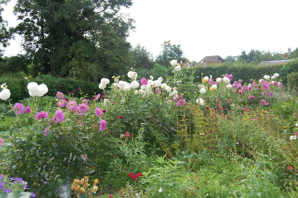 Au Clos Du Logis Maintenay Buitenkant foto